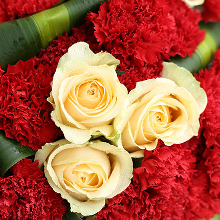 bó hoa cẩm chướng 33 bông