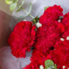 bó hoa cẩm chướng 19 bông