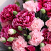 bó hoa cẩm chướng đẹp