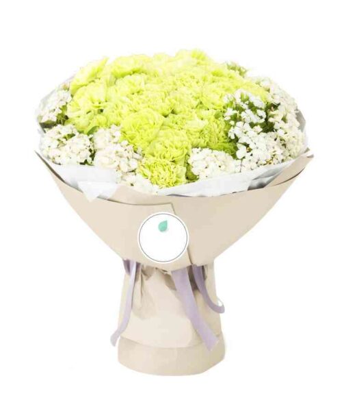 Bó hoa cẩm chướng xanh lá