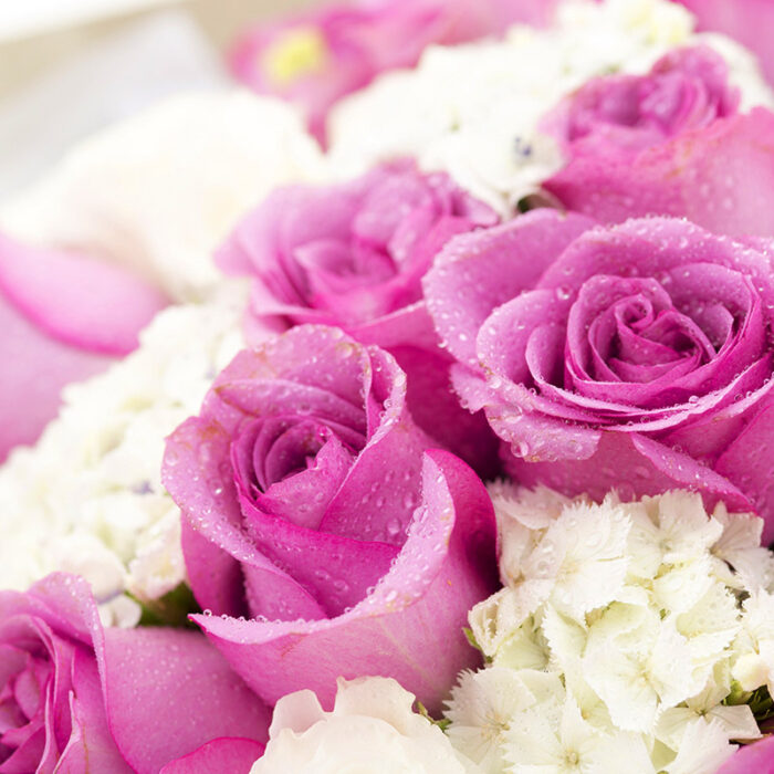 Bó hoa hồng tím và trắng