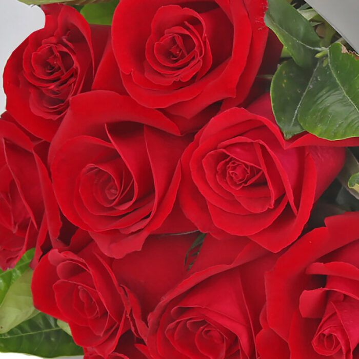 bó hoa hồng đỏ 9 bông