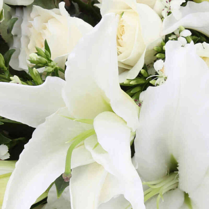 Bó hoa hồng trắng và huệ trắng