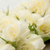 hộp hoa hồng trắng