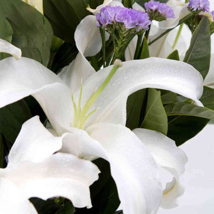 Bó hoa huệ trắng 12 bông
