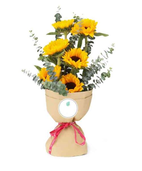 Bó hoa hướng dương và cam trắng 10 bông