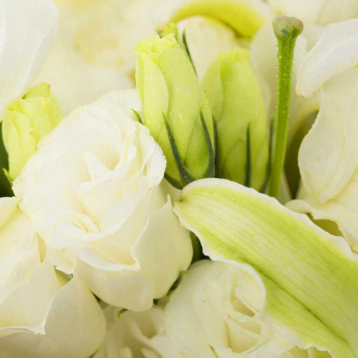 Bó hoa huệ và hoa hồng trắng
