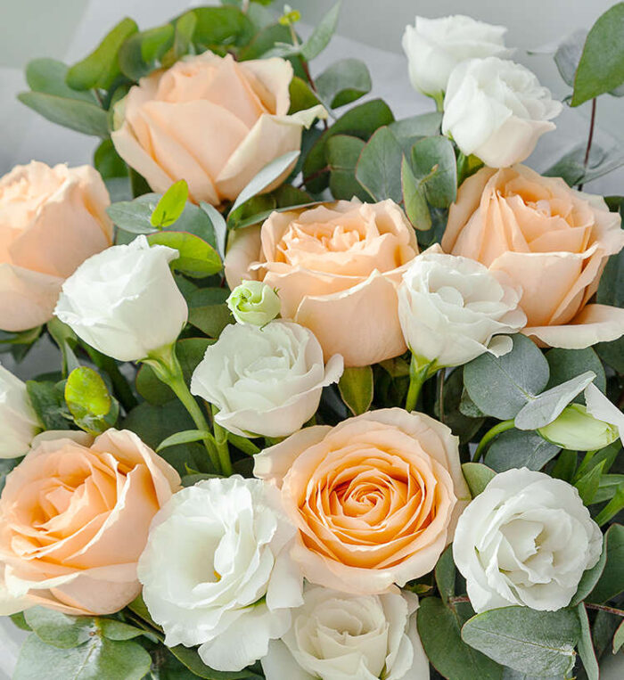Bó hoa hồng Champagne với bông màu hồng và trắng chúc mừng các dịp như sinh nhật, sự kiện, thăm hỏi, khai trương