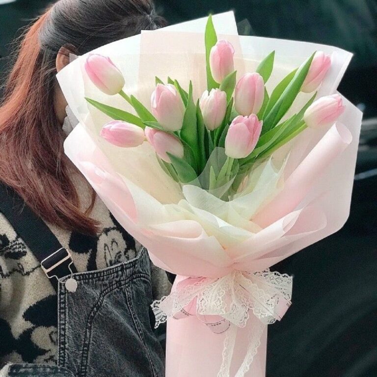 bó hoa tulip hồng