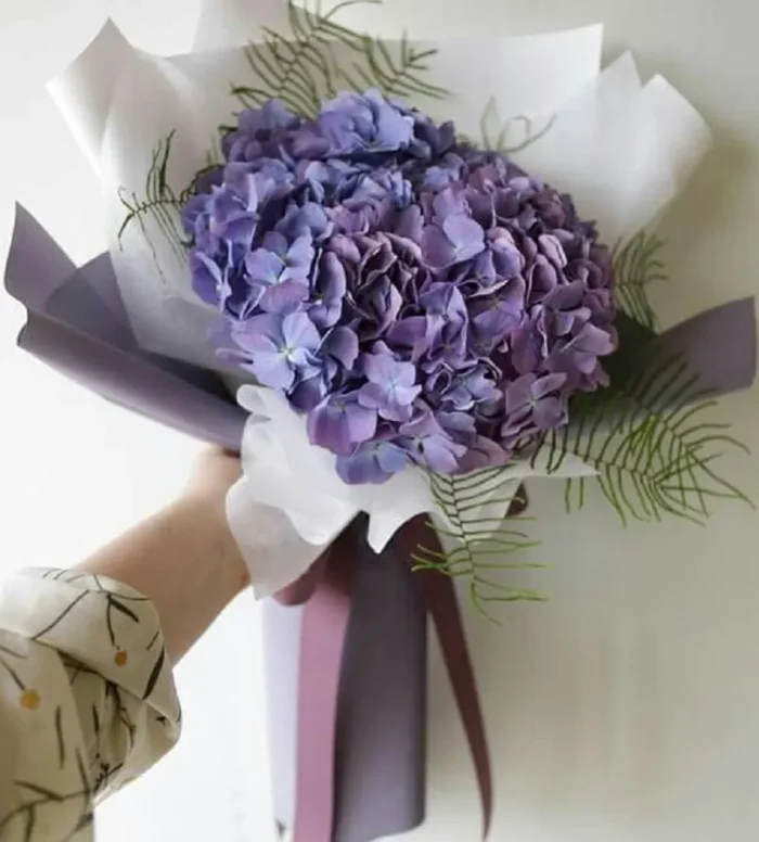 bó hoa cẩm tú cầu tím