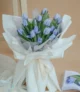 Bó hoa tulip xanh