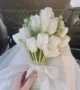 hoa cưới tulip trắng