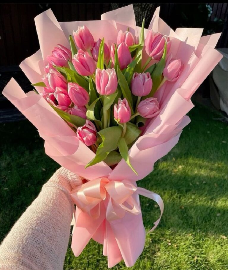 10+ mẫu bó hoa tulip 20 bông nhiều màu