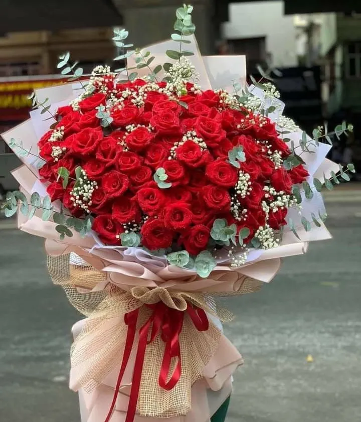 hoa hồng valentine