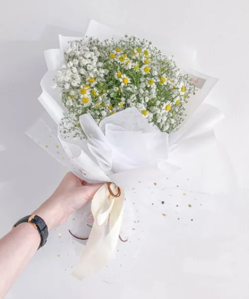 bó hoa cúc họa mi màu trắng