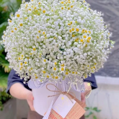 Mẫu giỏ hoa bi trắng tặng các dịp