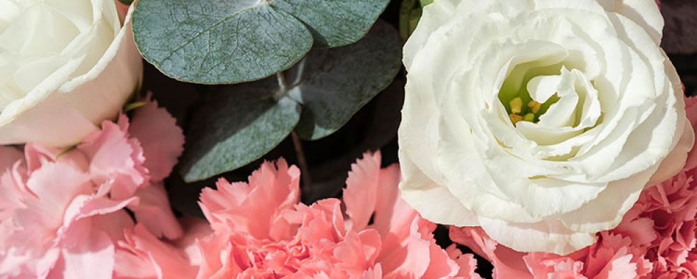 Bó hoa Cẩm Chướng cùng hồng trắng cho các dịp chúc mừng, sự kiện